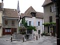 IMG_1655.jpg