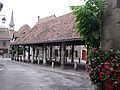 IMG_1656.jpg