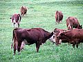IMG_1659.jpg